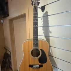 IMG_4669 - Row takamine acoustic guitar